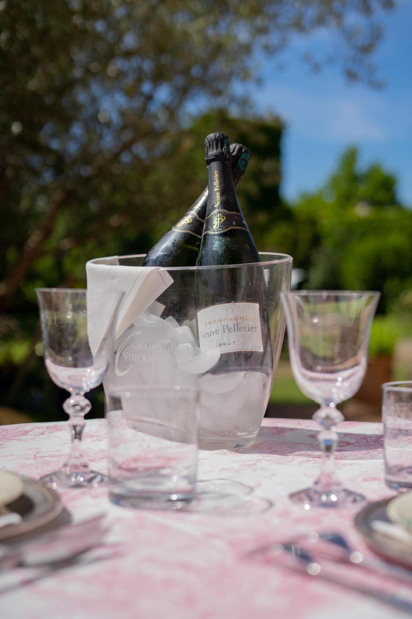 Castel Bois Marie, Maison D'Hotes Монтобан Екстериор снимка Champagne in a champagne bucket