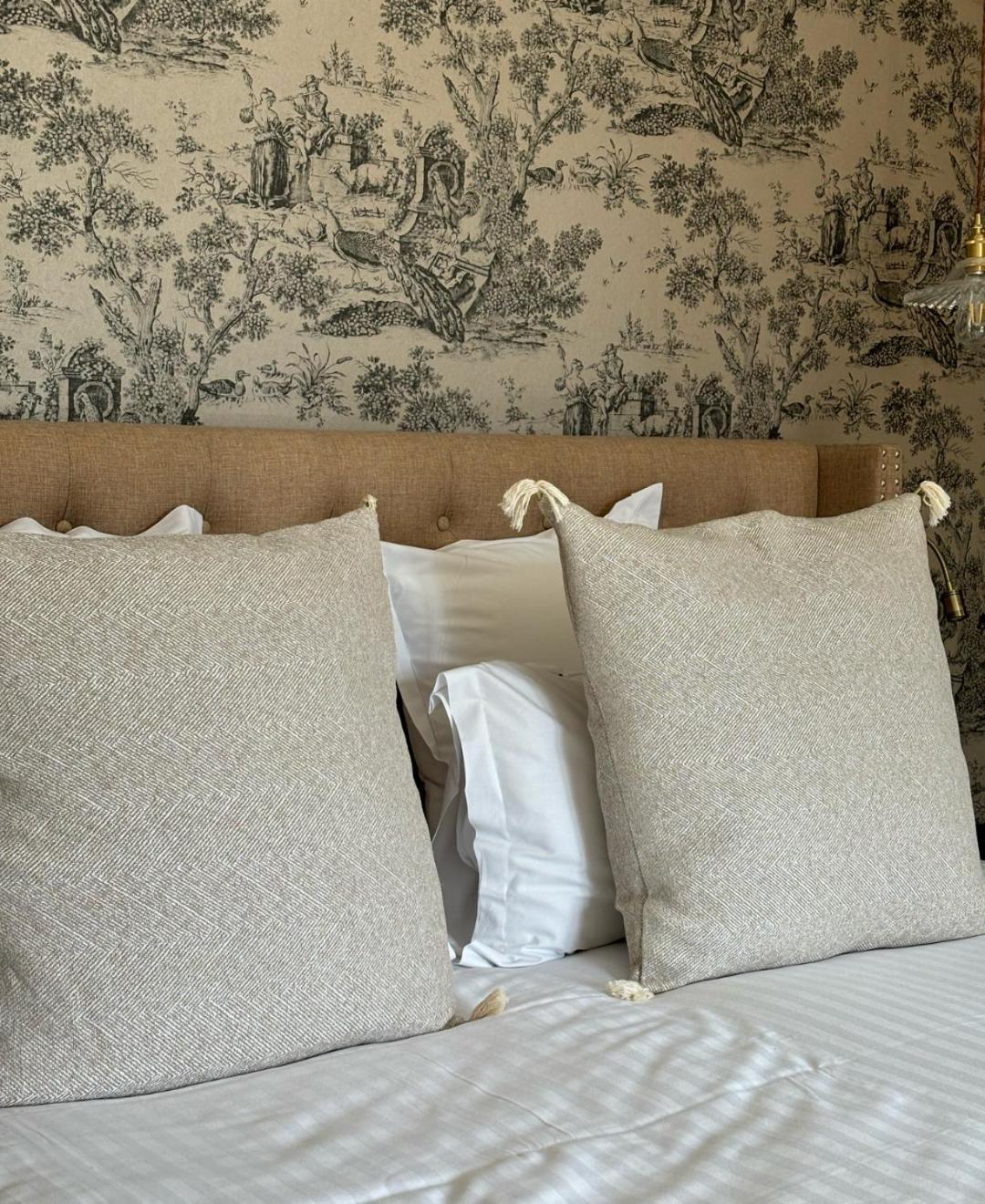 Castel Bois Marie, Maison D'Hotes Монтобан Екстериор снимка Cushions on a bed